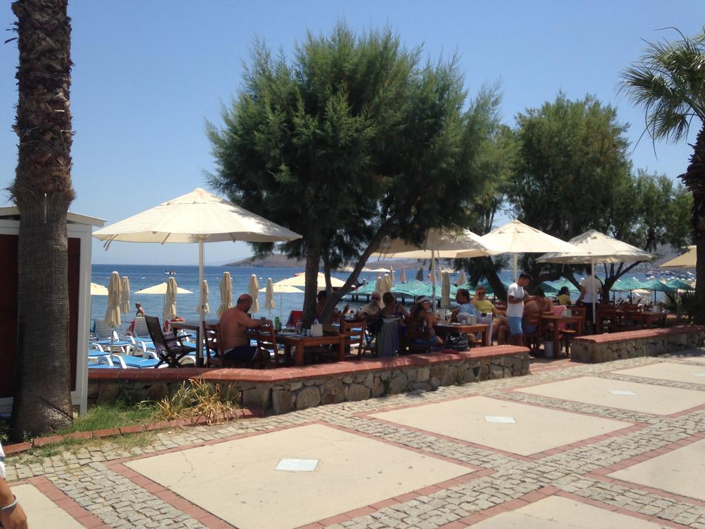 Acelya Hotel Ortakent Εξωτερικό φωτογραφία