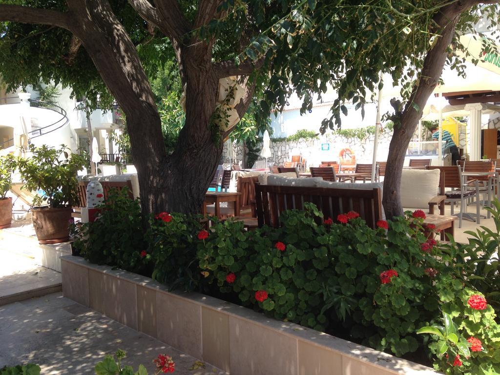 Acelya Hotel Ortakent Εξωτερικό φωτογραφία