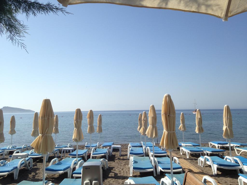 Acelya Hotel Ortakent Εξωτερικό φωτογραφία