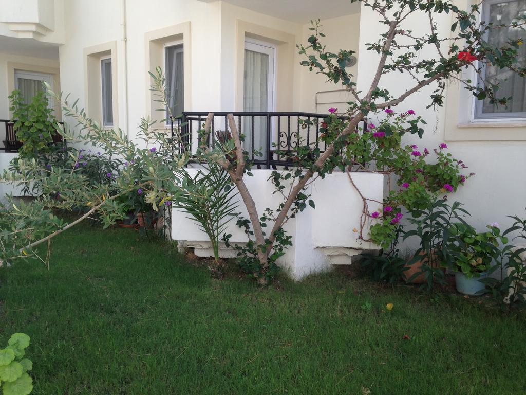 Acelya Hotel Ortakent Εξωτερικό φωτογραφία